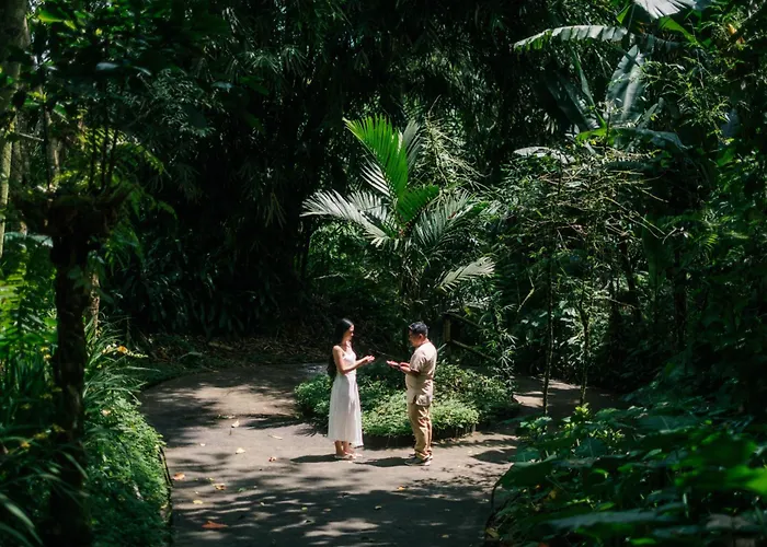 Moding Plantation Nature 5* 姆杜克