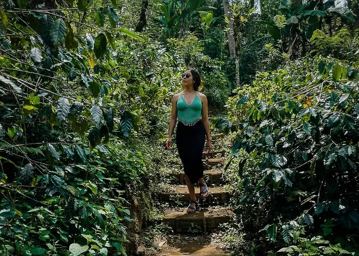 Moding Plantation Nature