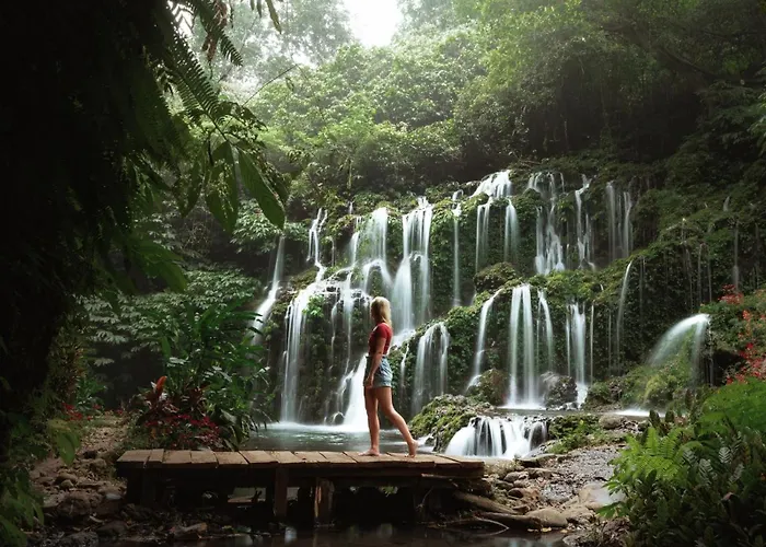 度假村 Moding Plantation Nature